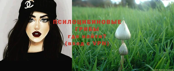 MDMA Premium VHQ Зерноград