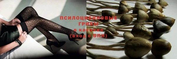 трава Зеленодольск