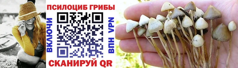 Купить  Волчанск  Галлюциногенные грибы мицелий 